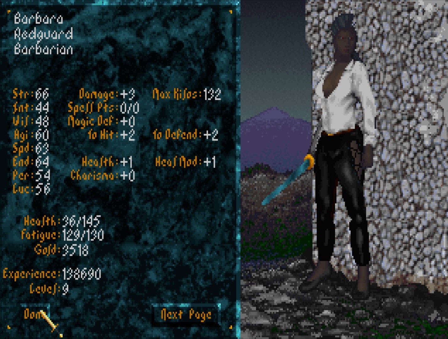 This is a pic of my The elder scrolls arena character